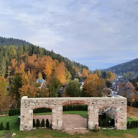 Alte-foersterei-wildenthal-app-1 * Eibenstock